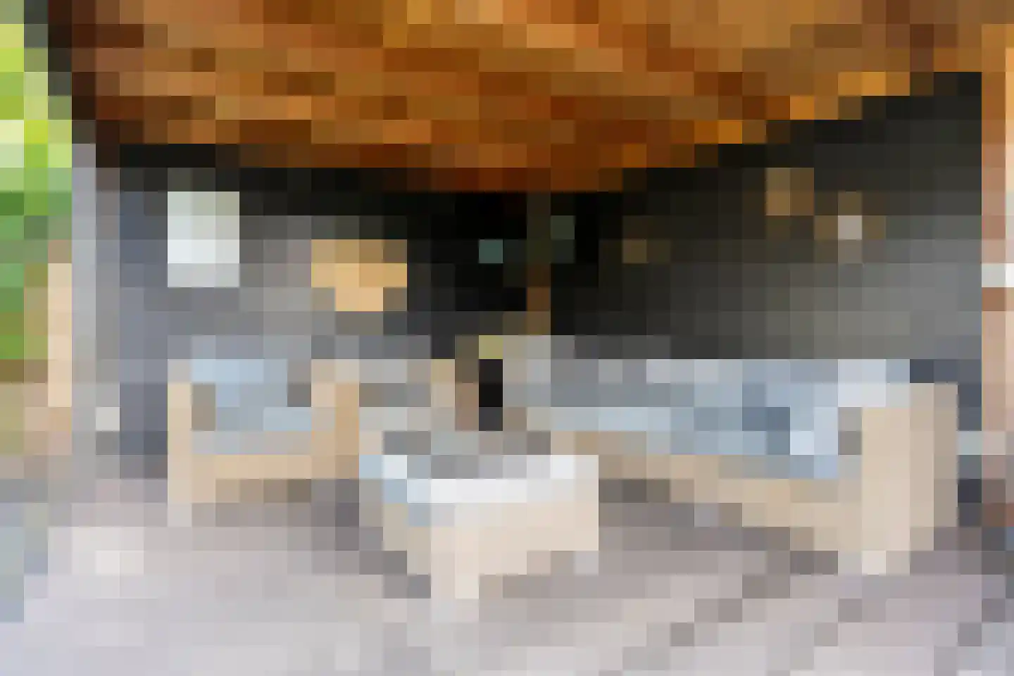 Hogenhofstraat 8 Zwolle thumbnail 52