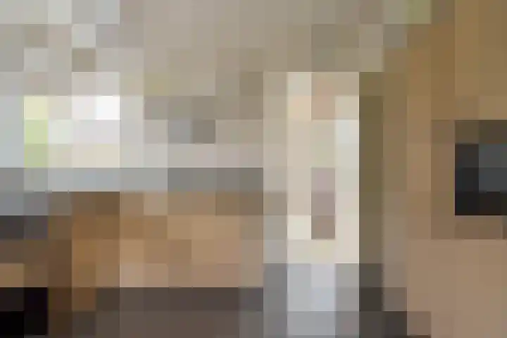 Hogenkamp 32 Hattem thumbnail 19