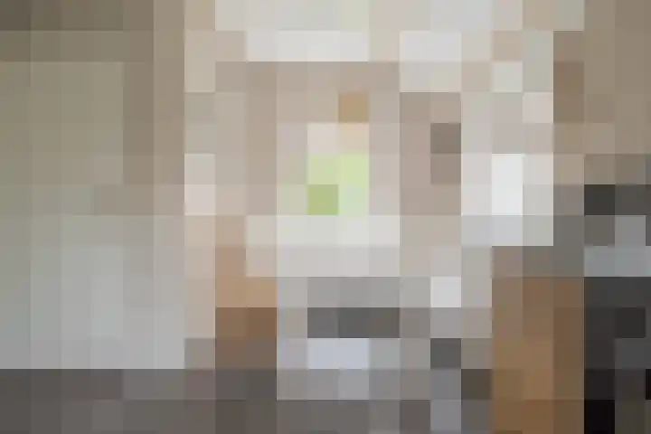 Hogenkamp 32 Hattem thumbnail 24