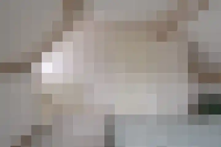 Hogenkamp 32 Hattem thumbnail 35