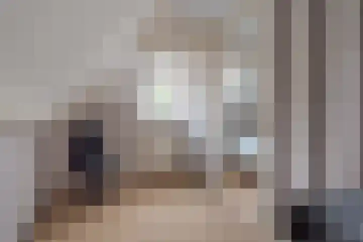 Hogenkamp 32 Hattem thumbnail 38