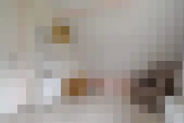 Hogenkamp 32 Hattem thumbnail 49