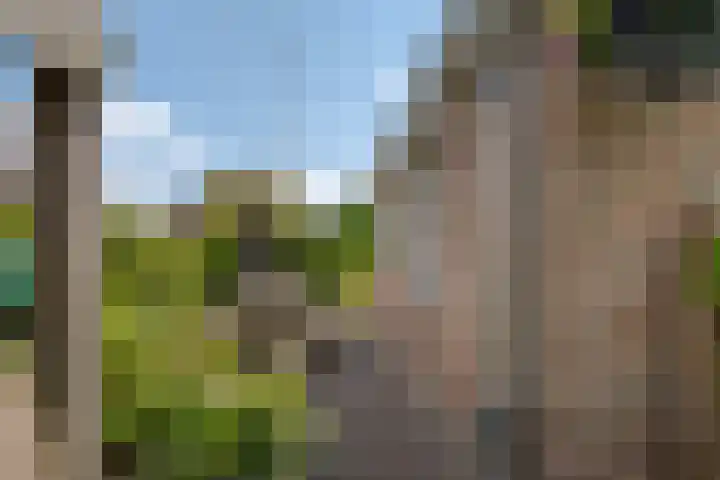 Hogenkamp 32 Hattem thumbnail 54