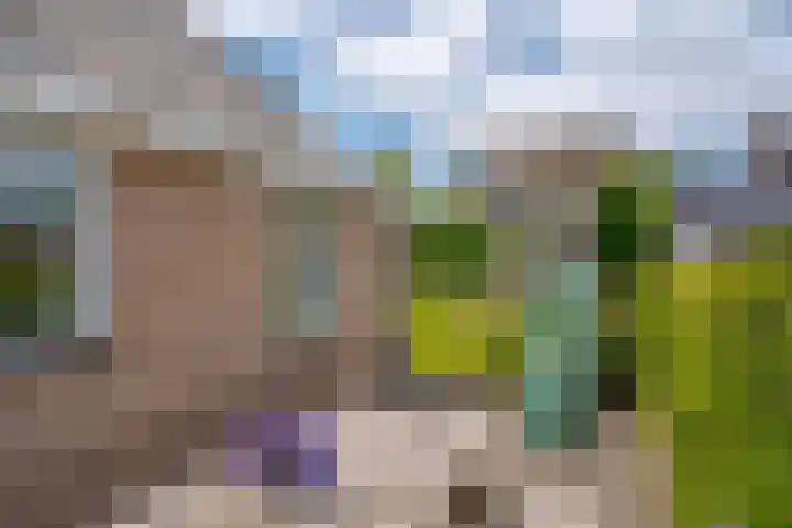 Hogenkamp 32 Hattem thumbnail 55
