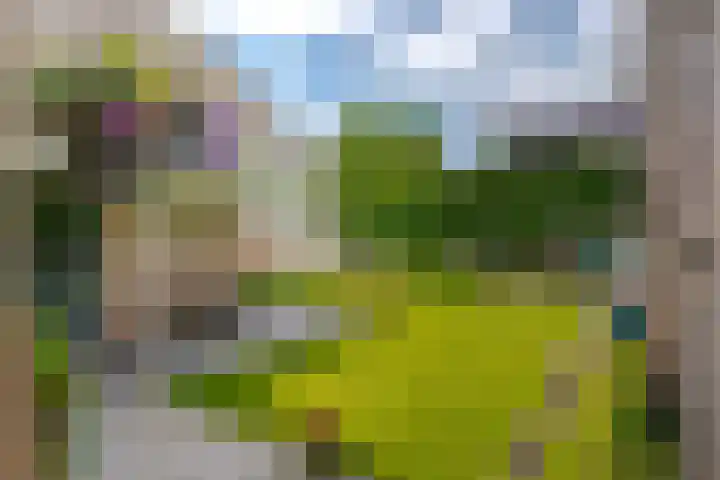 Hogenkamp 32 Hattem thumbnail 56