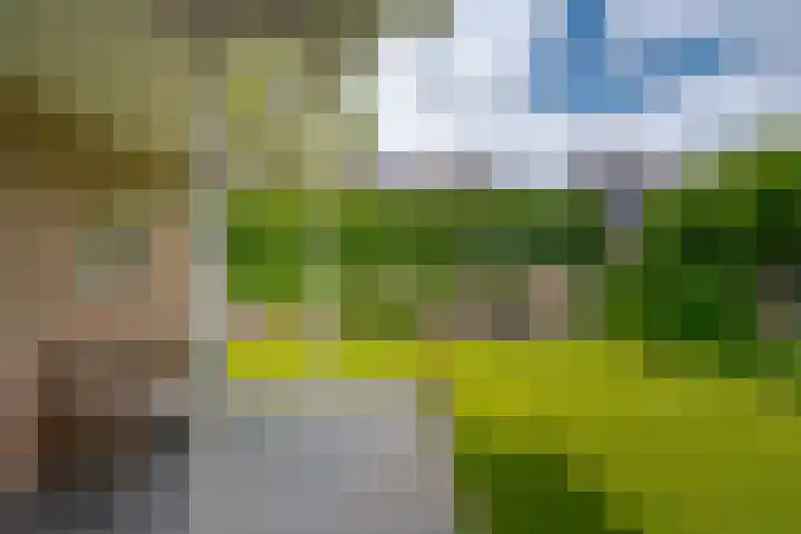 Hogenkamp 32 Hattem thumbnail 57