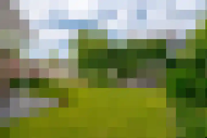 Hogenkamp 32 Hattem thumbnail 58