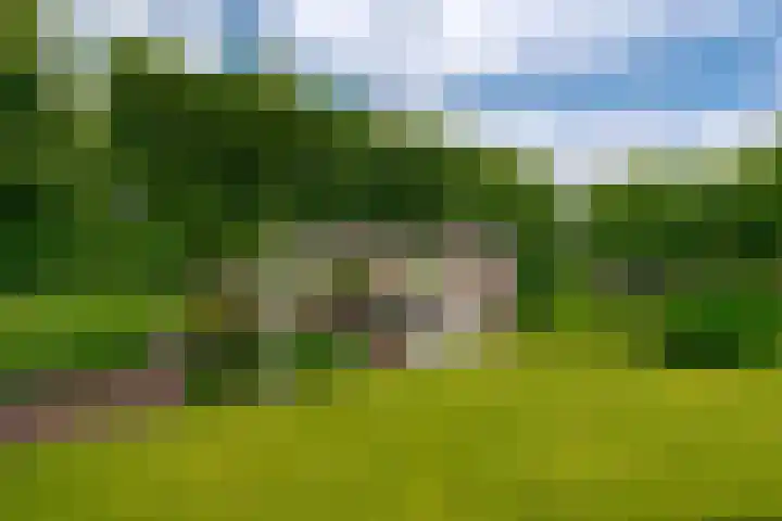 Hogenkamp 32 Hattem thumbnail 59