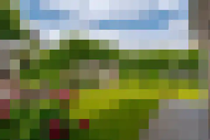Hogenkamp 32 Hattem thumbnail 60