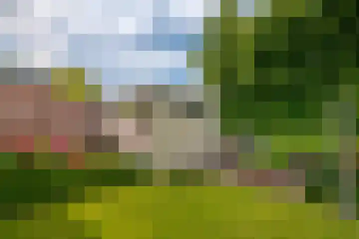 Hogenkamp 32 Hattem thumbnail 62