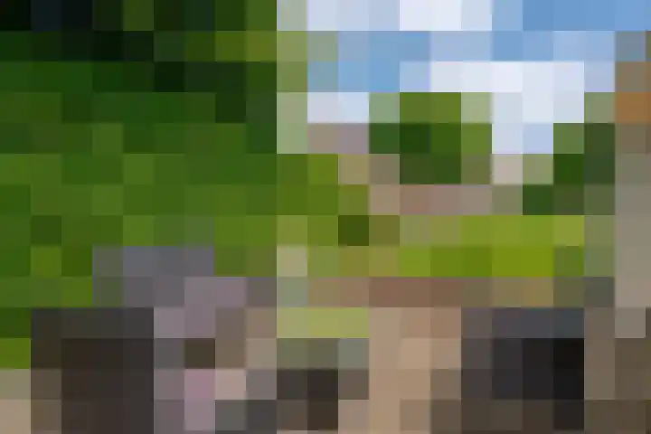 Hogenkamp 32 Hattem thumbnail 63