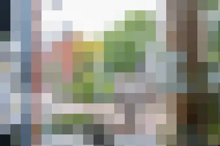 Hogenkamp 7 Beneden-Leeuwen thumbnail 20