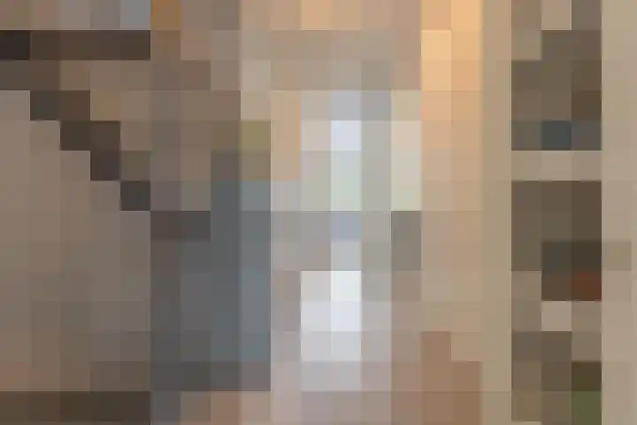 Hogenkamp 7 Beneden-Leeuwen thumbnail 26