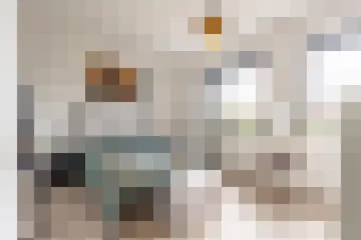 Hogenkamp 7 Beneden-Leeuwen thumbnail 35