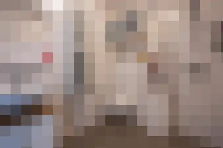 Hogenkamp 7 Beneden-Leeuwen thumbnail 36