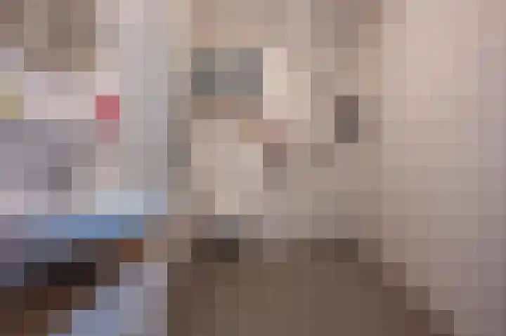 Hogenkamp 7 Beneden-Leeuwen thumbnail 38