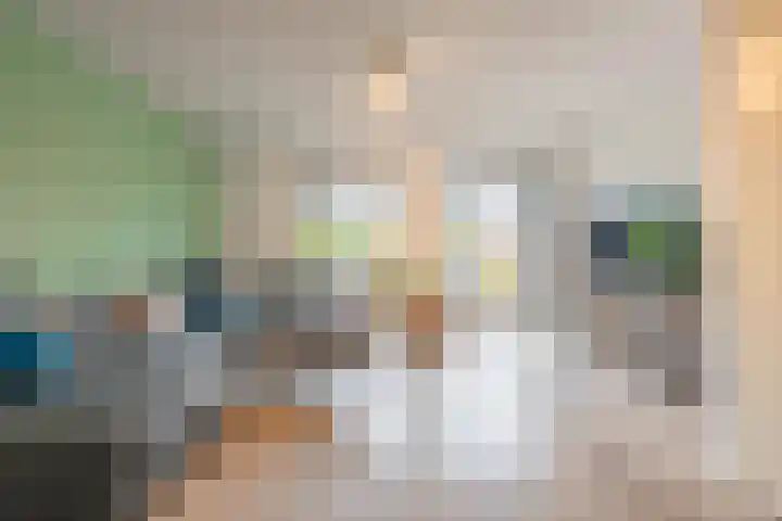 Hogenkamp 7 Beneden-Leeuwen thumbnail 4