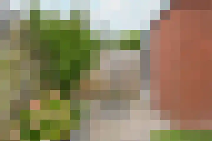 Hogenkamp 7 Beneden-Leeuwen thumbnail 51