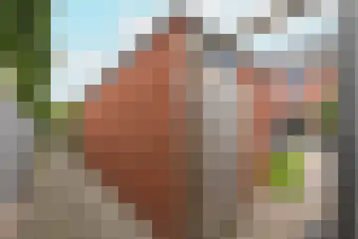 Hogenkamp 7 Beneden-Leeuwen thumbnail 54