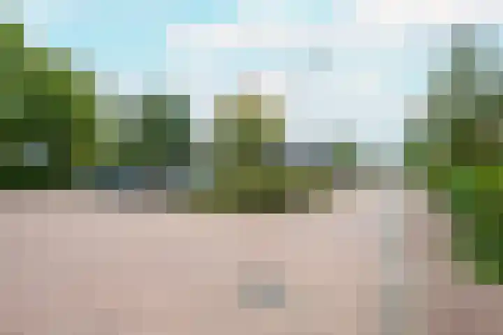 Hogenkamp 7 Beneden-Leeuwen thumbnail 59