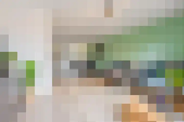 Hogenkamp 7 Beneden-Leeuwen thumbnail 6