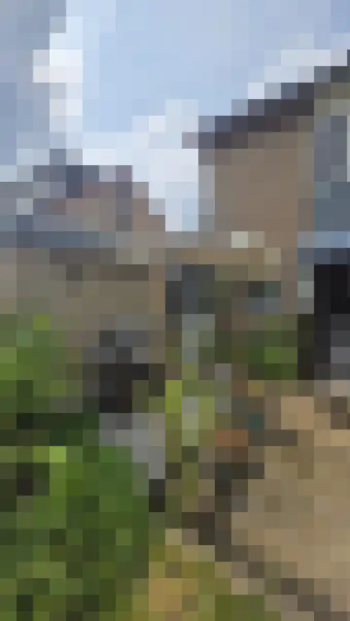 Hogenkampseweg 169 Renkum thumbnail 25