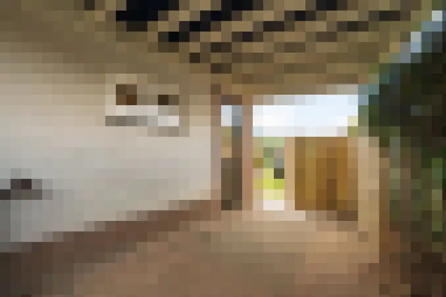 Hogenkampseweg 178 Renkum thumbnail 8