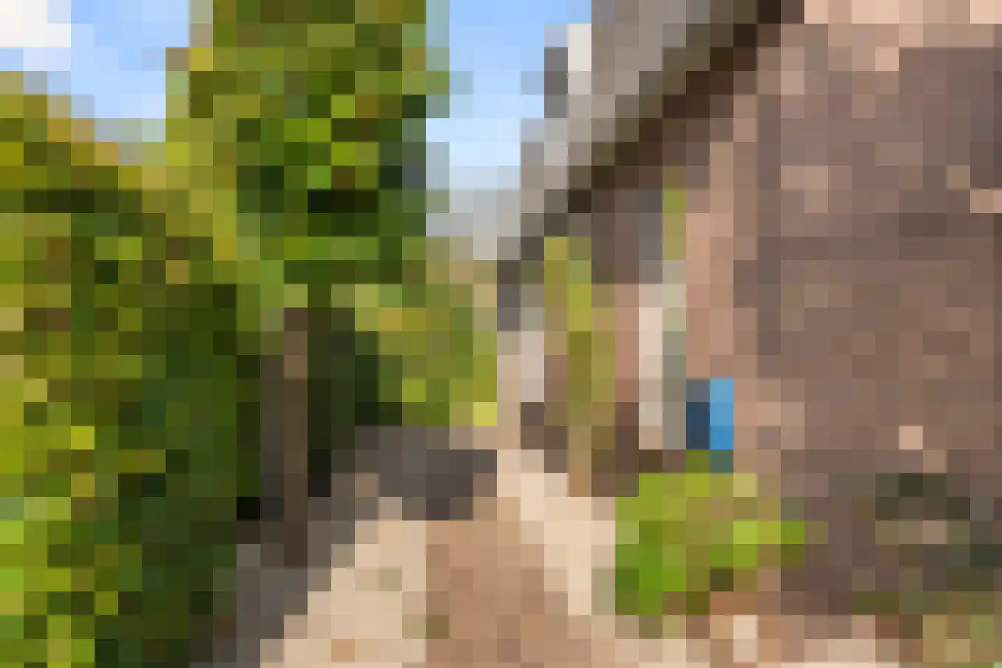 Hogenkampseweg 22 Renkum thumbnail 8