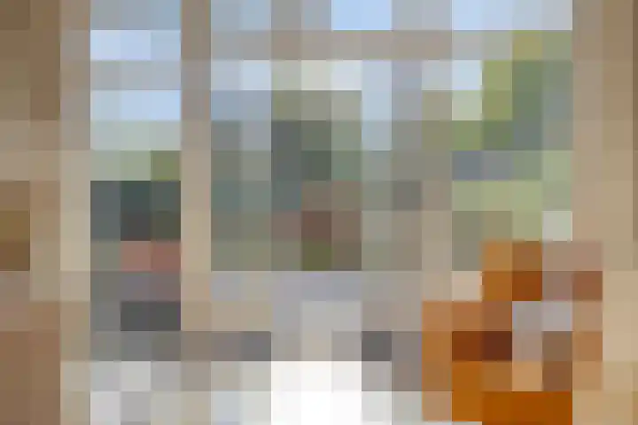 Hogenkampsweg 1 Zwolle thumbnail 11