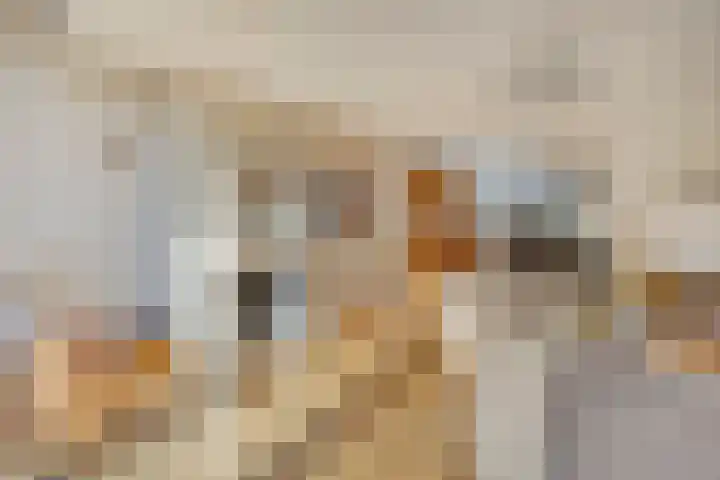 Hogenkampsweg 1 Zwolle thumbnail 12