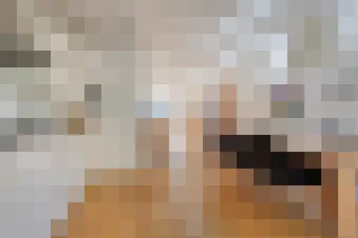 Hogenkampsweg 1 Zwolle thumbnail 14