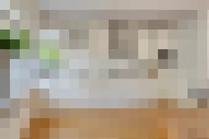 Hogenkampsweg 1 Zwolle thumbnail 16