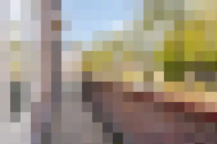 Hogenkampsweg 1 Zwolle thumbnail 22