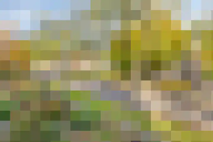 Hogenkampsweg 1 Zwolle thumbnail 23