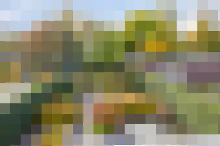 Hogenkampsweg 1 Zwolle thumbnail 28