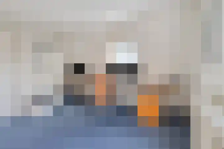 Hogenkampsweg 1 Zwolle thumbnail 36
