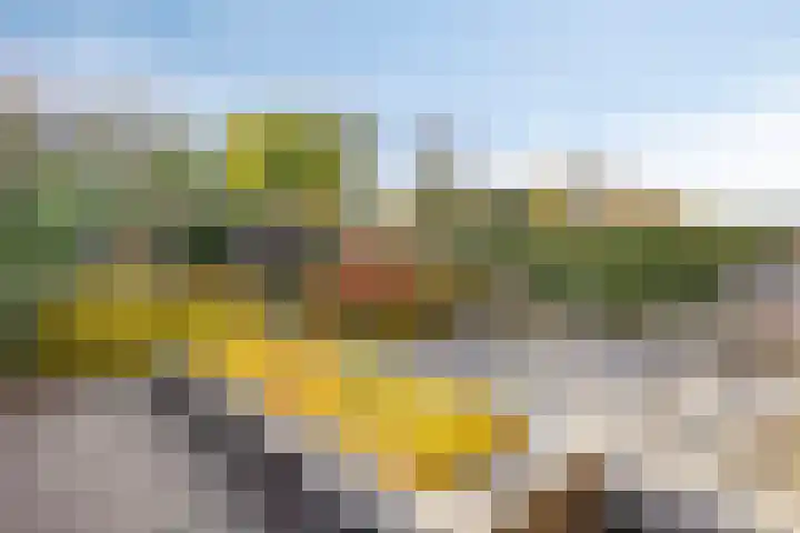 Hogenkampsweg 1 Zwolle thumbnail 37