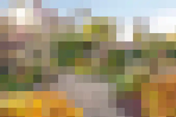 Hogenkampsweg 1 Zwolle thumbnail 41