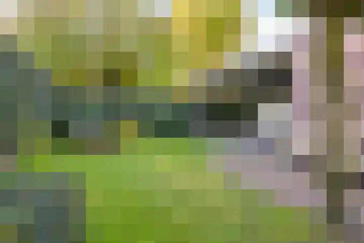 Hogenkampsweg 1 Zwolle thumbnail 42