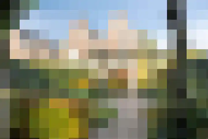 Hogenkampsweg 1 Zwolle thumbnail 43