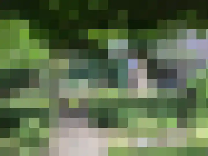 Hogenkampsweg 1 Zwolle thumbnail 44