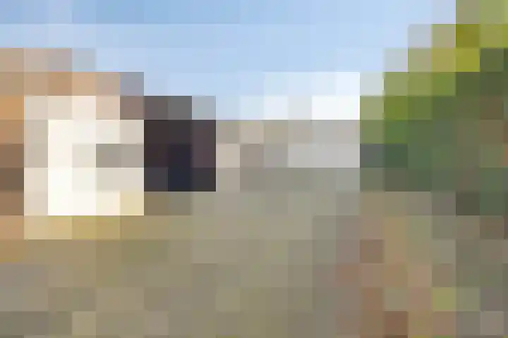 Hogenkampsweg 1 Zwolle thumbnail 47