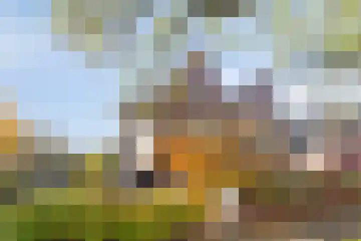 Hogenkampsweg 1 Zwolle thumbnail 5