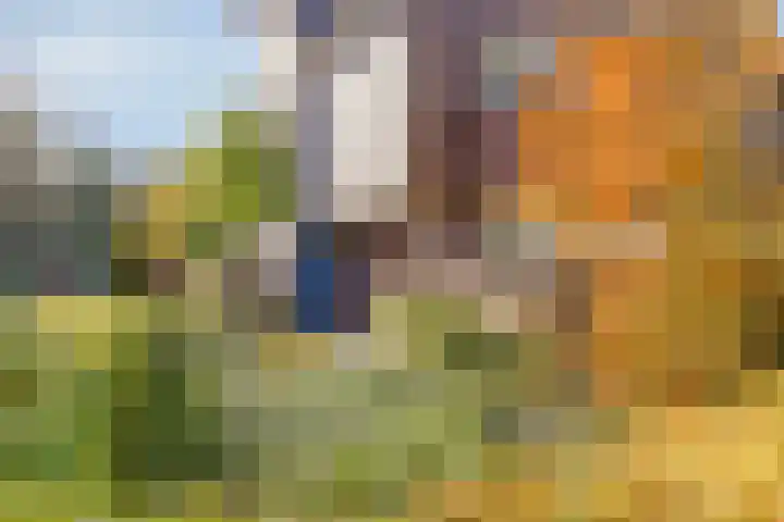 Hogenkampsweg 1 Zwolle thumbnail 6