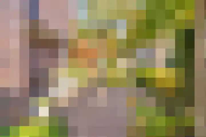 Hogenkampsweg 1 Zwolle thumbnail 7