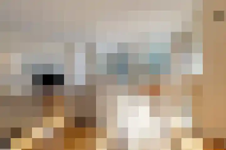 Hogenkampsweg 1 Zwolle thumbnail 9