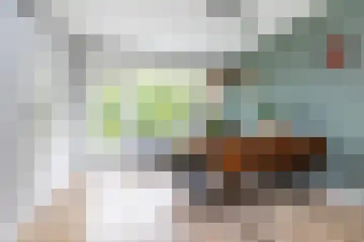 Hogenkampsweg 100 Zwolle thumbnail 10