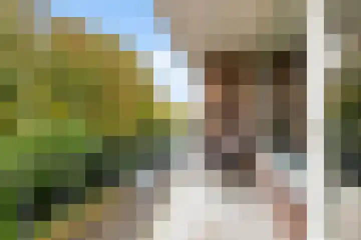 Hogenkampsweg 100 Zwolle thumbnail 13