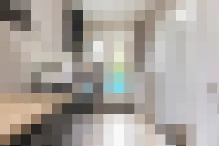 Hogenkampsweg 100 Zwolle thumbnail 15