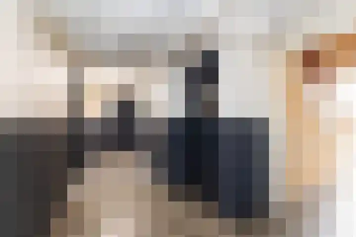 Hogenkampsweg 100 Zwolle thumbnail 25